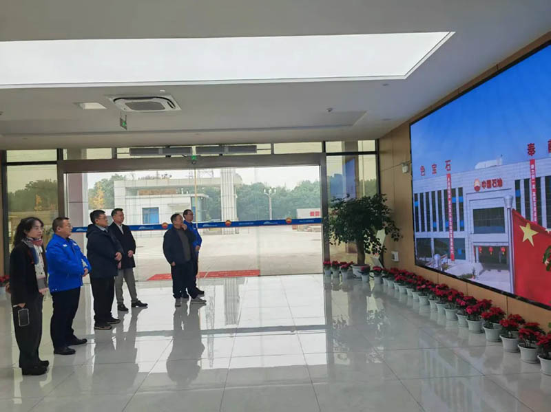 1765342795203307.jpg 05.jpg