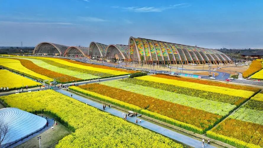 1770343516130993.jpg 005.jpg