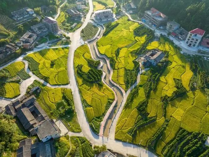 1770343538152016.jpg 006.jpg