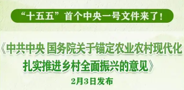 从政策到实践│中央一号文件对贵阳市建筑设计院全域土地综合整治工作的指导意义