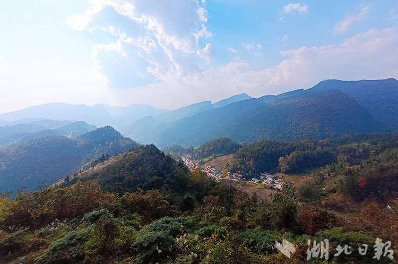 1772687984697594.png c87b3ee4-3656-4da2-8024-f49f0c8efb17.png