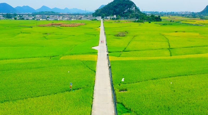 全域整治·贵阳设计，重塑乡村之美——成功的全域土地综合整治，做对了什么？